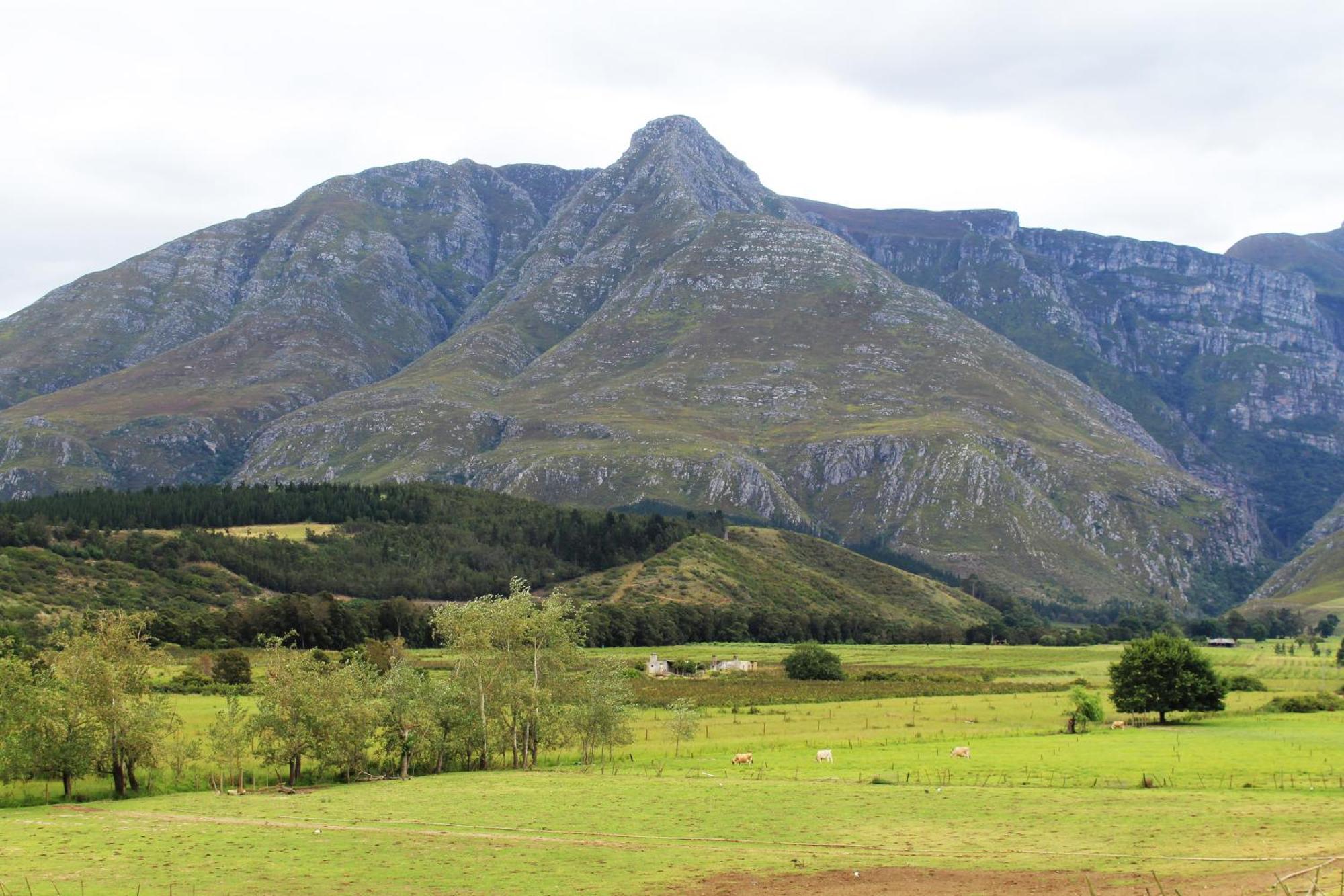 Arumvale Country Retreat Swellendam Exterior photo